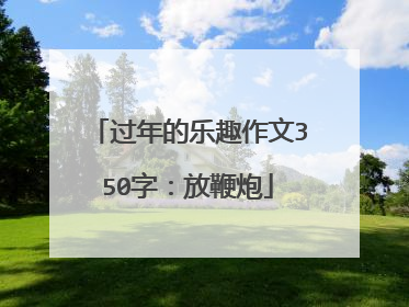 过年的乐趣作文350字：放鞭炮