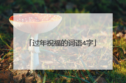 过年祝福的词语4字