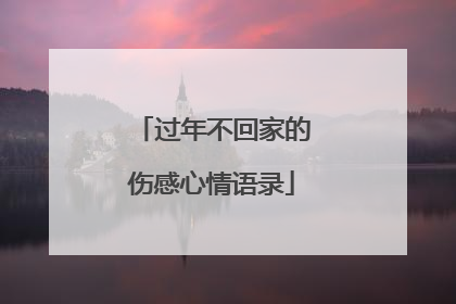 过年不回家的伤感心情语录