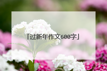 过新年作文600字