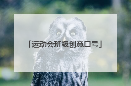 运动会班级创意口号
