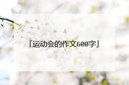 运动会的作文600字