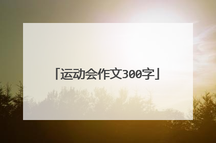 运动会作文300字