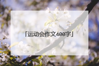 运动会作文400字