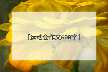 运动会作文600字