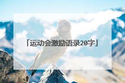 运动会激励语录20字