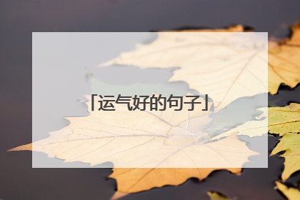 运气好的句子
