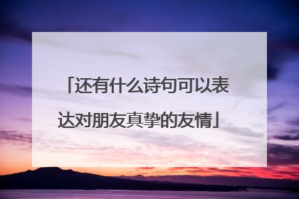 还有什么诗句可以表达对朋友真挚的友情