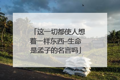 这一切都使人想着一样东西—生命是孟子的名言吗