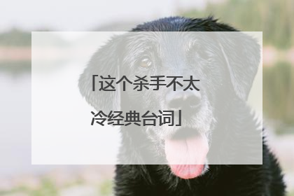这个杀手不太冷经典台词