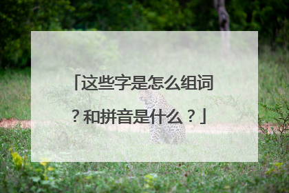 这些字是怎么组词？和拼音是什么？
