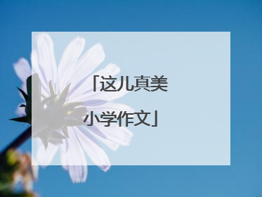 这儿真美小学作文