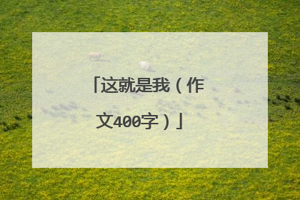 这就是我（作文400字）