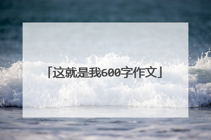 这就是我600字作文
