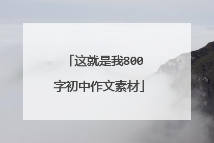 这就是我800字初中作文素材