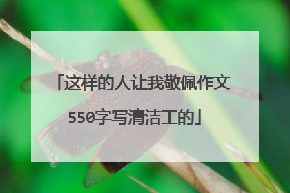 这样的人让我敬佩作文550字写清洁工的