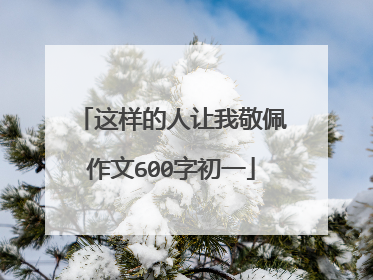 这样的人让我敬佩作文600字初一