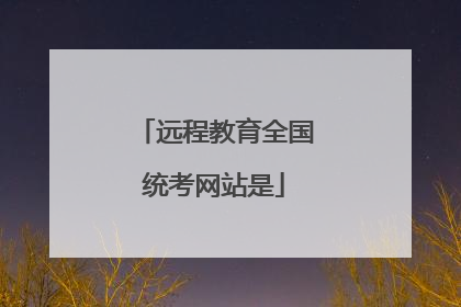 远程教育全国统考网站是