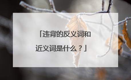 违背的反义词和近义词是什么？
