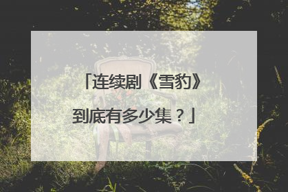 连续剧《雪豹》到底有多少集？