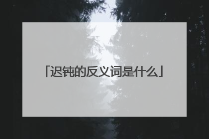 迟钝的反义词是什么