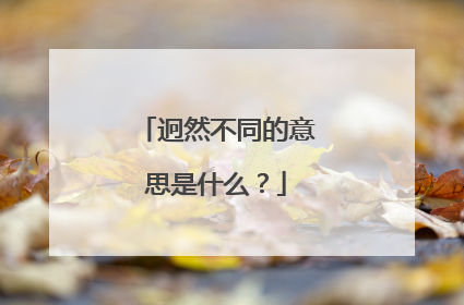 迥然不同的意思是什么？