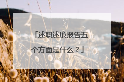 述职述廉报告五个方面是什么？