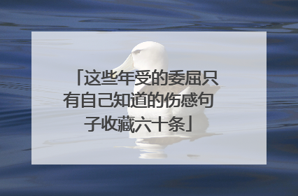 这些年受的委屈只有自己知道的伤感句子收藏六十条