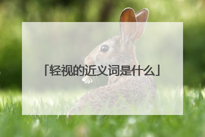 轻视的近义词是什么