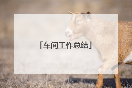 车间工作总结
