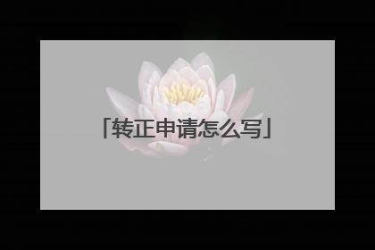转正申请怎么写