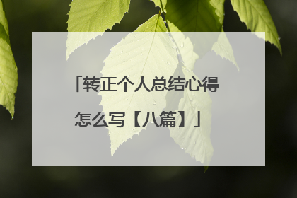 转正个人总结心得怎么写【八篇】