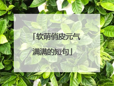 软萌俏皮元气满满的短句