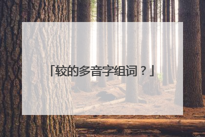 较的多音字组词?