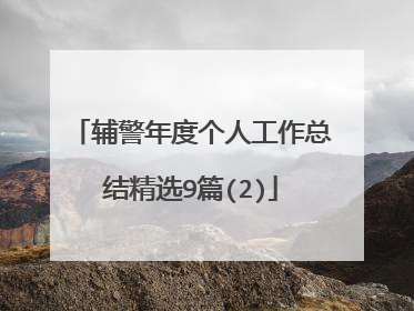 辅警年度个人工作总结精选9篇(2)