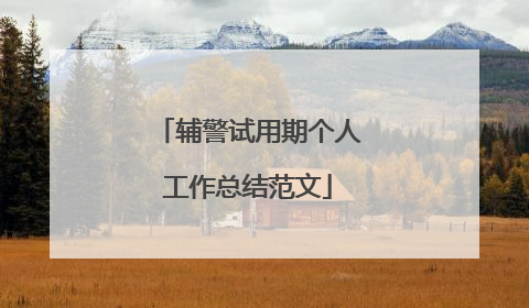 辅警试用期个人工作总结范文