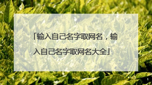 输入自己名字取网名，输入自己名字取网名大全