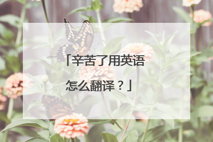 辛苦了用英语怎么翻译？