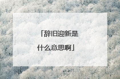 辞旧迎新是什么意思啊