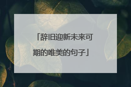 辞旧迎新未来可期的唯美的句子