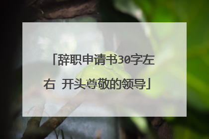 辞职申请书30字左右 开头尊敬的领导