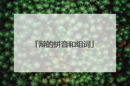 辩的拼音和组词