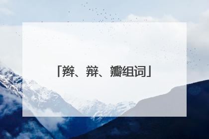 辫、辩、瓣组词