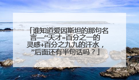 谁知道爱因斯坦的那句名言——“天才=百分之一的灵感+百分之九九的汗水，”后面还有半句话吗？