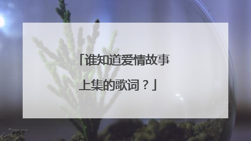 谁知道爱情故事上集的歌词？