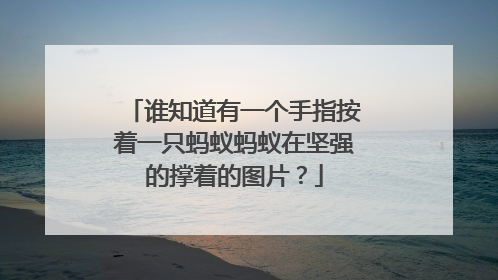 谁知道有一个手指按着一只蚂蚁蚂蚁在坚强的撑着的图片?