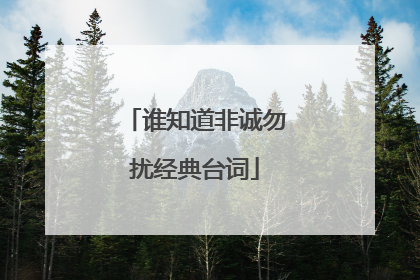 谁知道非诚勿扰经典台词