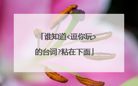 谁知道<逗你玩>的台词?粘在下面