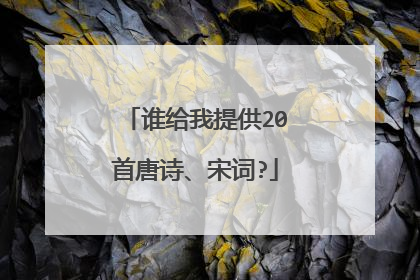 谁给我提供20首唐诗、宋词?