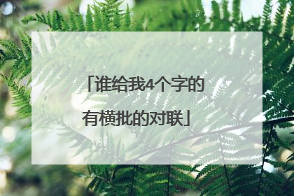 谁给我4个字的有横批的对联
